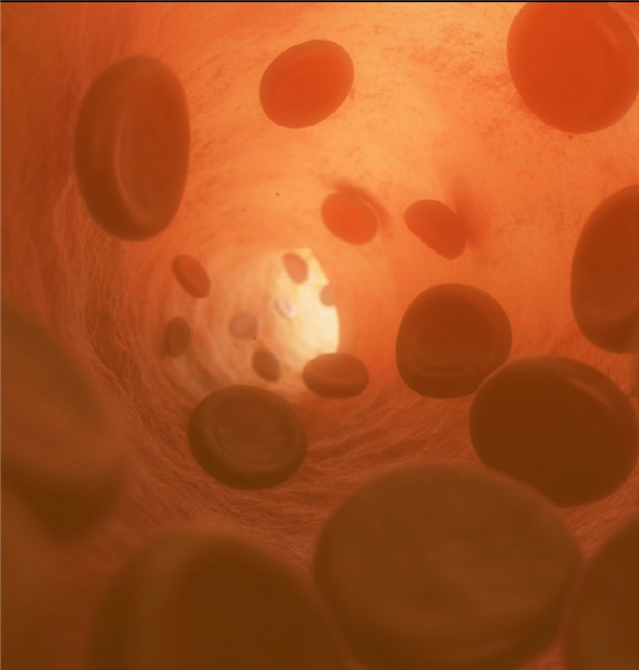 Featured Review Do blood thinners prevent people who are hospitalised with COVID19 from